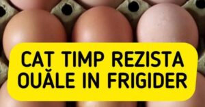 Păstrarea Ouălor de Țară în Frigider: Sfaturi și Greșeli Comune
