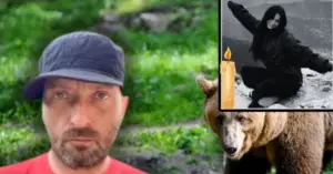 Cheloo reacționează dur după moartea tinerei ucisă de urs: „Vrem și noi statut de specie protejată”