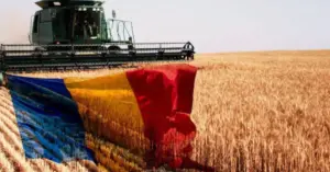Producție record de cereale în România în 2024: O poveste de succes